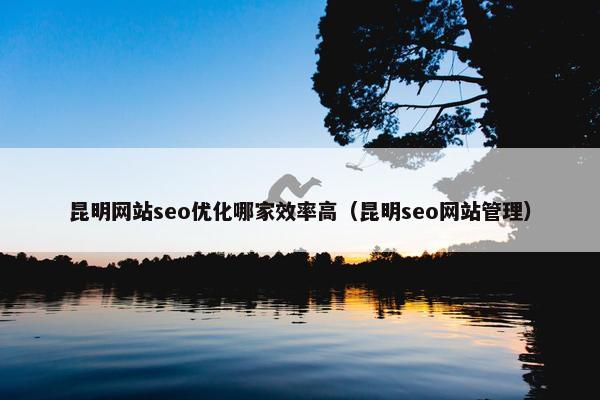 昆明网站seo优化哪家效率高（昆明seo网站管理）
