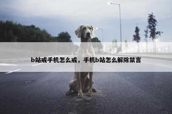 b站戒手机怎么戒，手机b站怎么解除禁言