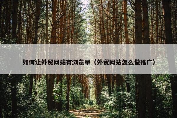 如何让外贸网站有浏览量（外贸网站怎么做推广）