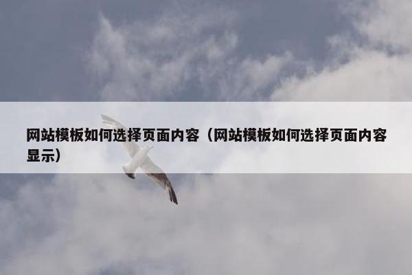 网站模板如何选择页面内容（网站模板如何选择页面内容显示）
