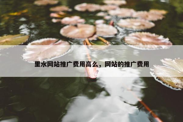 里水网站推广费用高么，网站的推广费用