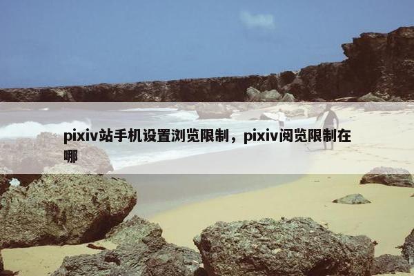 pixiv站手机设置浏览限制，pixiv阅览限制在哪