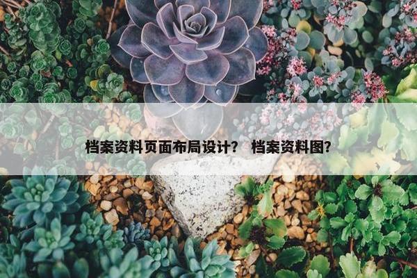 档案资料页面布局设计？ 档案资料图？