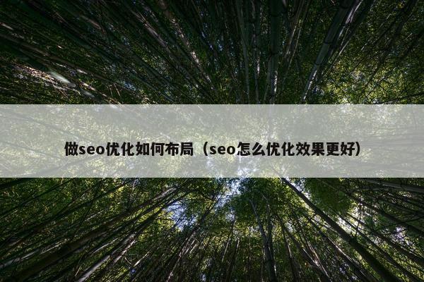 做seo优化如何布局（seo怎么优化效果更好）