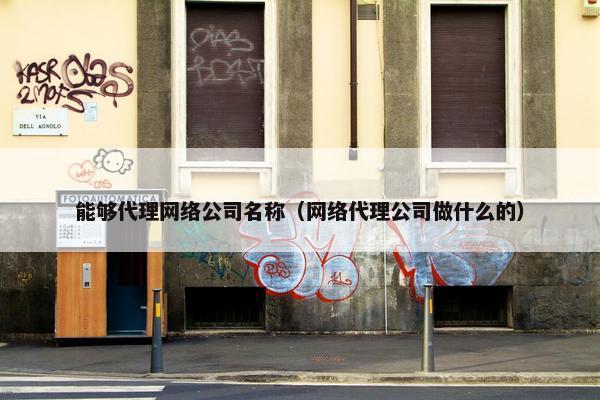 能够代理网络公司名称（网络代理公司做什么的）
