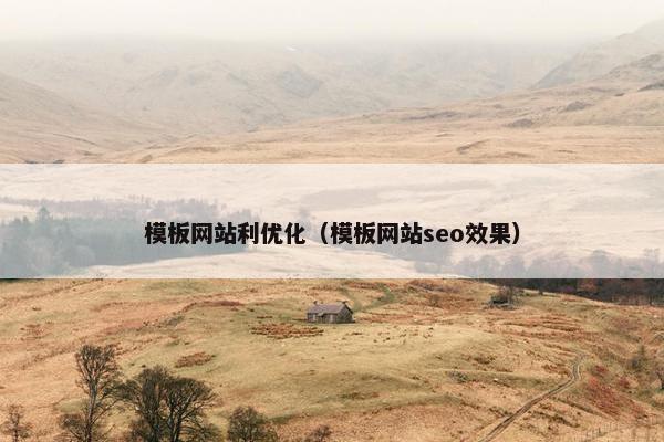 模板网站利优化（模板网站seo效果）