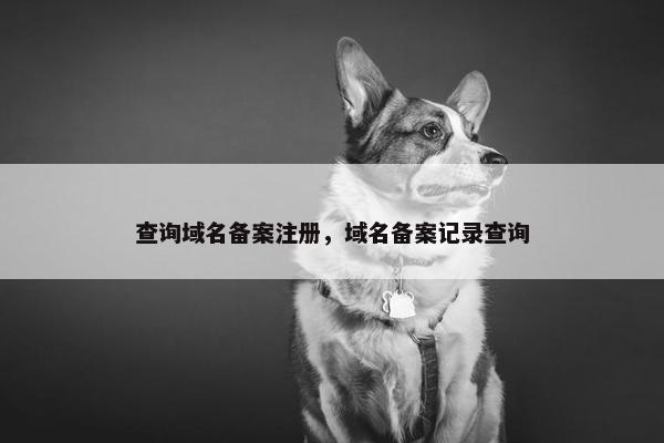 查询域名备案注册，域名备案记录查询