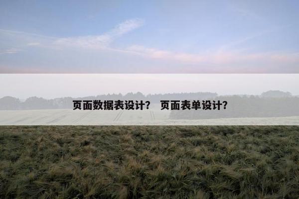 页面数据表设计？ 页面表单设计？