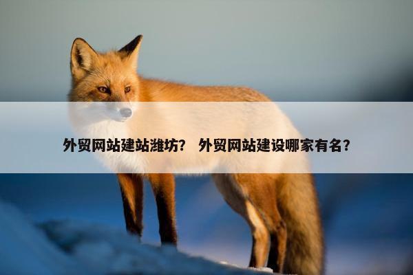 外贸网站建站潍坊？ 外贸网站建设哪家有名？