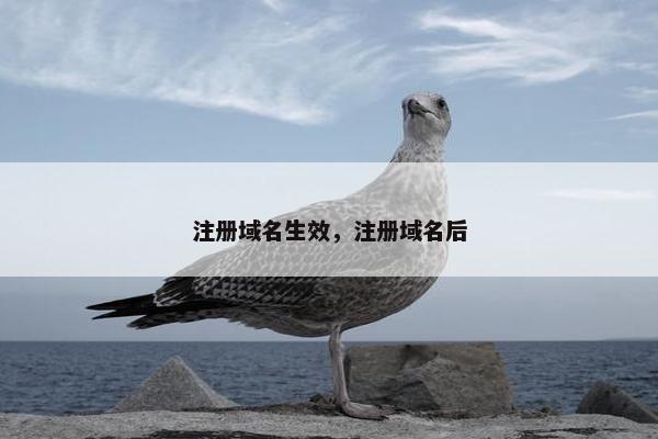 注册域名生效，注册域名后